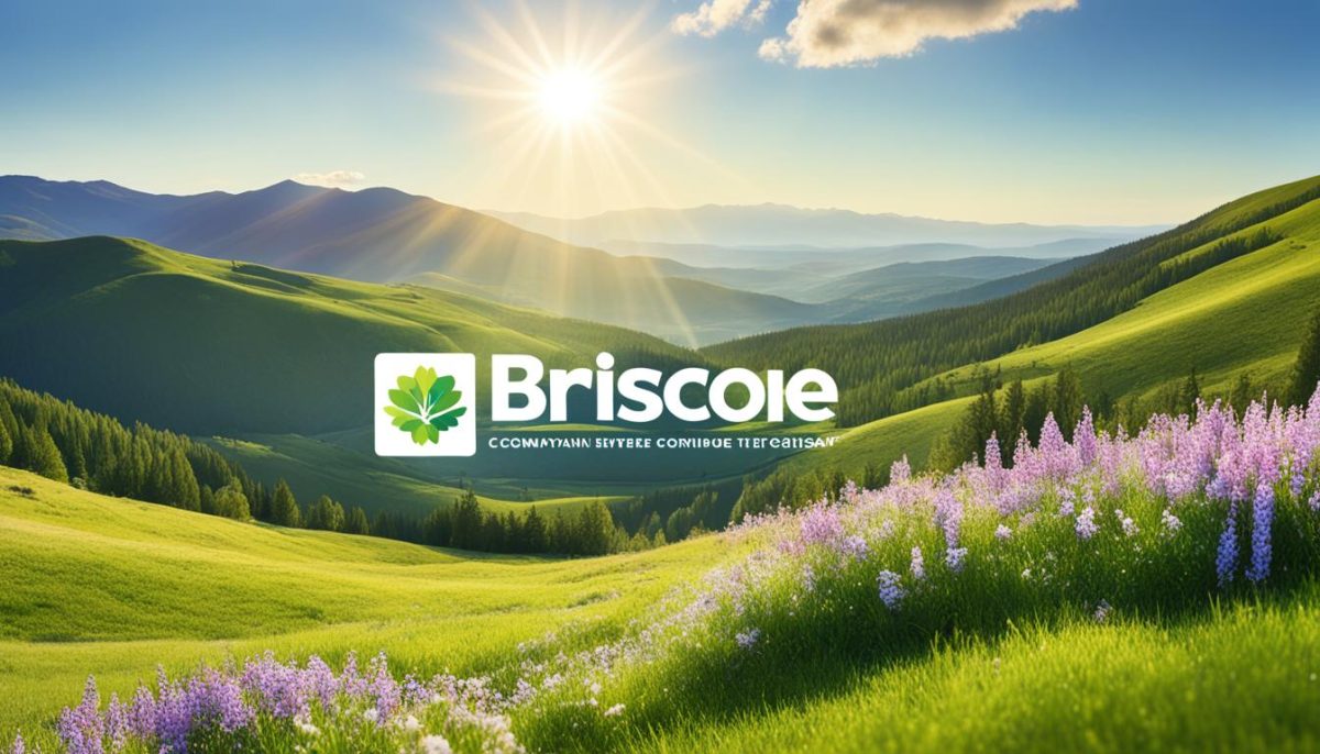 Briscoe Better Conditions strategy